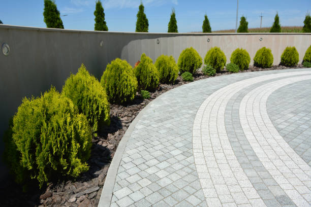 Best Best Driveway Pavers  in Grayvle, IL